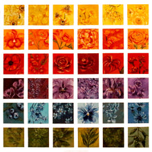  Colours Of The Heart